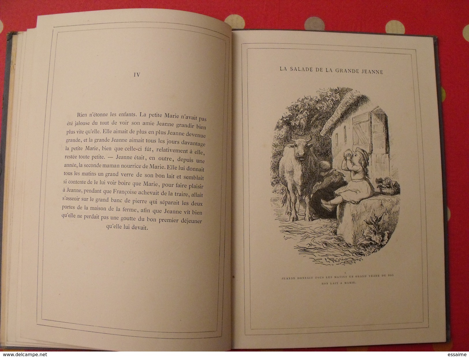 collection Hetzel. La salade de la grande Jeanne. P-J Stahl. vignettes par Lorenz Froelich, F. Méaulle. vers 1890