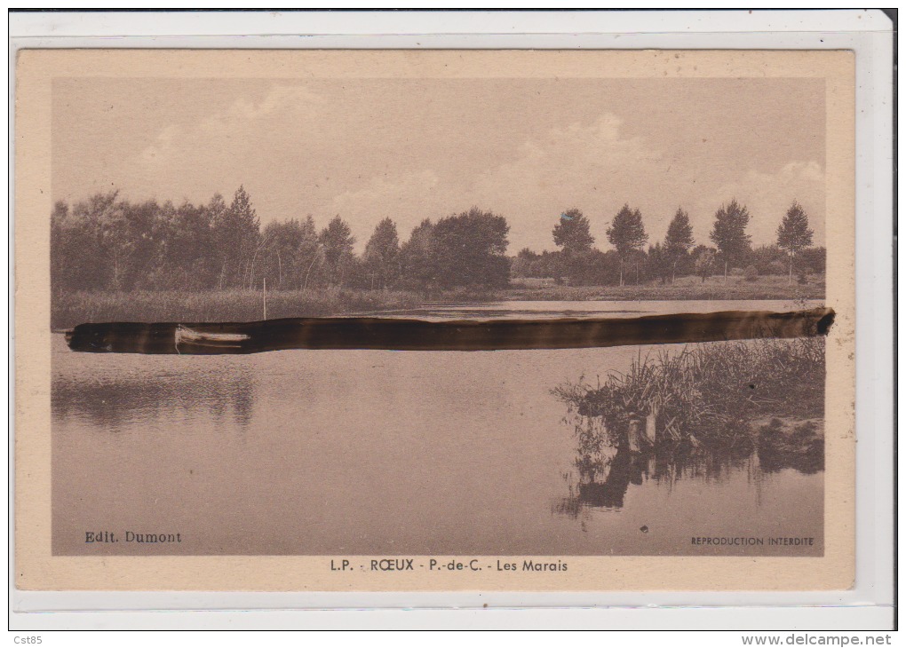 Carte Postale - LE ROEUX - Les Marais - Autres & Non Classés