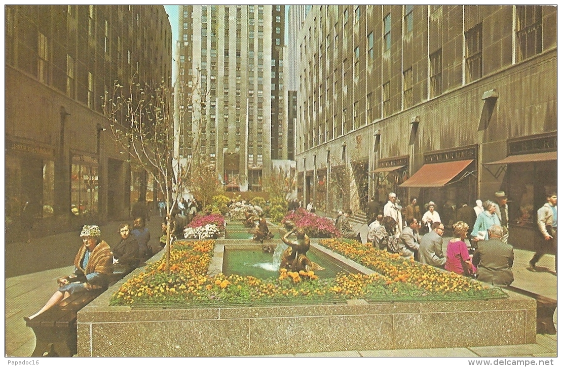 USA - NY - Hundred Of Blossoms Greet The Visitor In The Channel Gardens Of Rockefeller Center...[New York] - Places