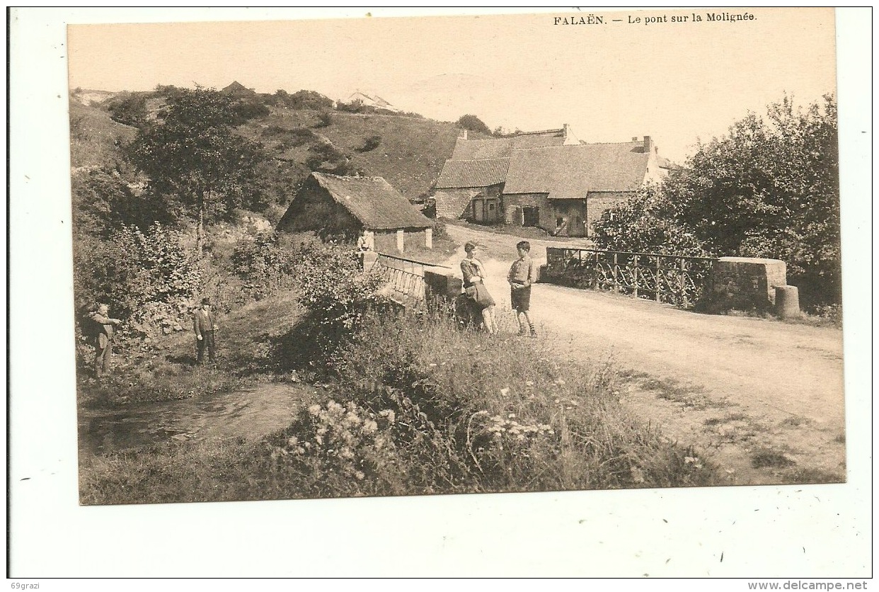 Falaen Pont Sur La Molignee - Onhaye