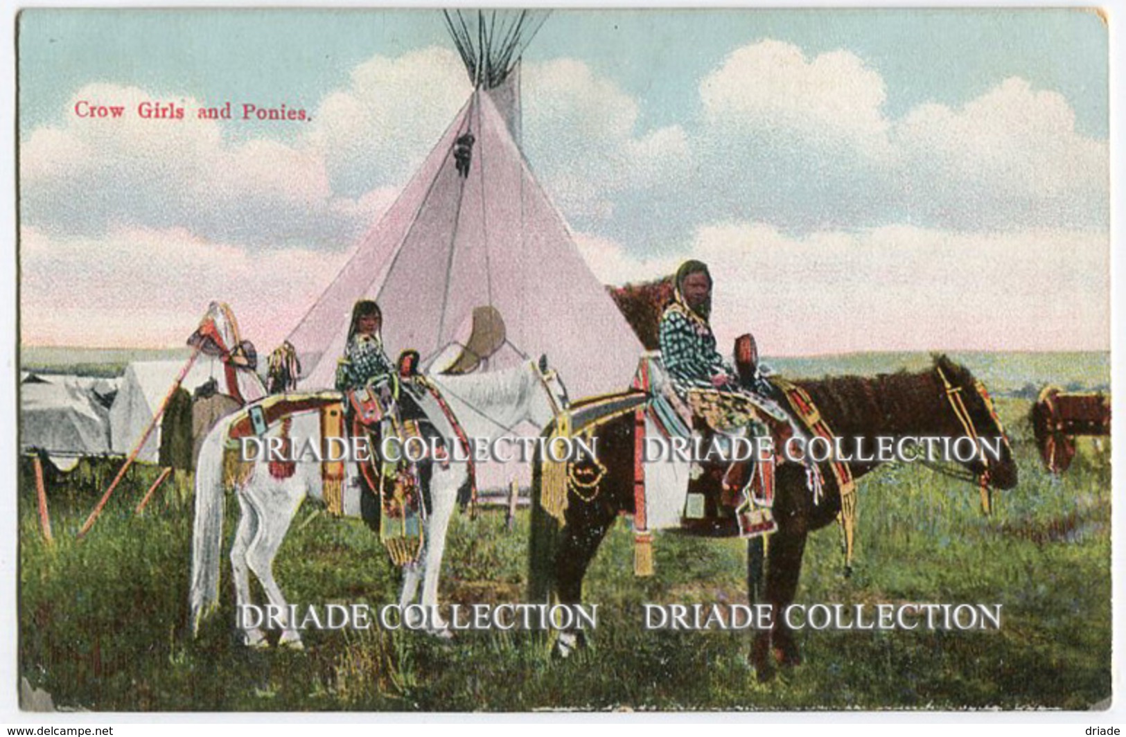 CARTOLINA CROW GIRLS AND PONIES INDIANI NORD AMERICA INDIAN NATIVE AMERICAN - Indiani Dell'America Del Nord