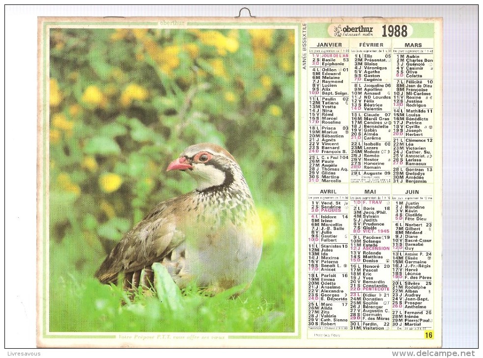 Almanach Des PTT De 1988 Département 92 Oiseau Et Chien De Chasse - Grand Format : 1921-40