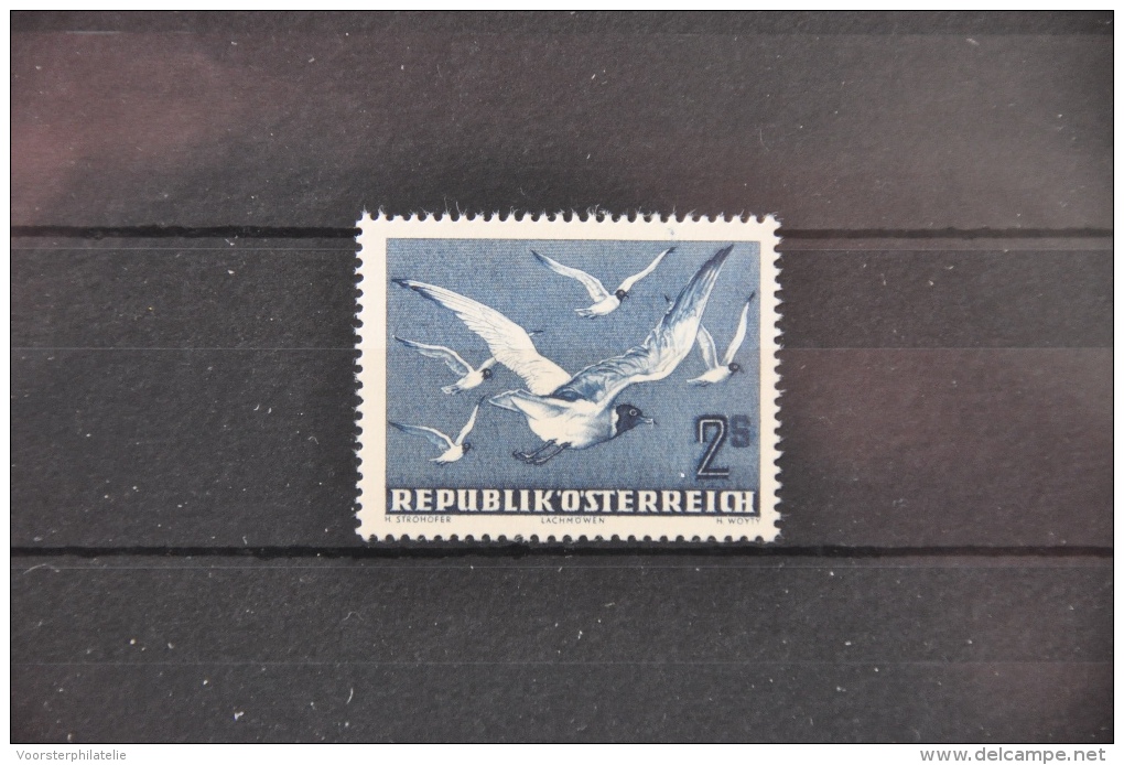 I 343 ++ AUSTRIA 1950 ANK 969 BIRDS VOGELS OISEAUX NEUF MNH - Ongebruikt