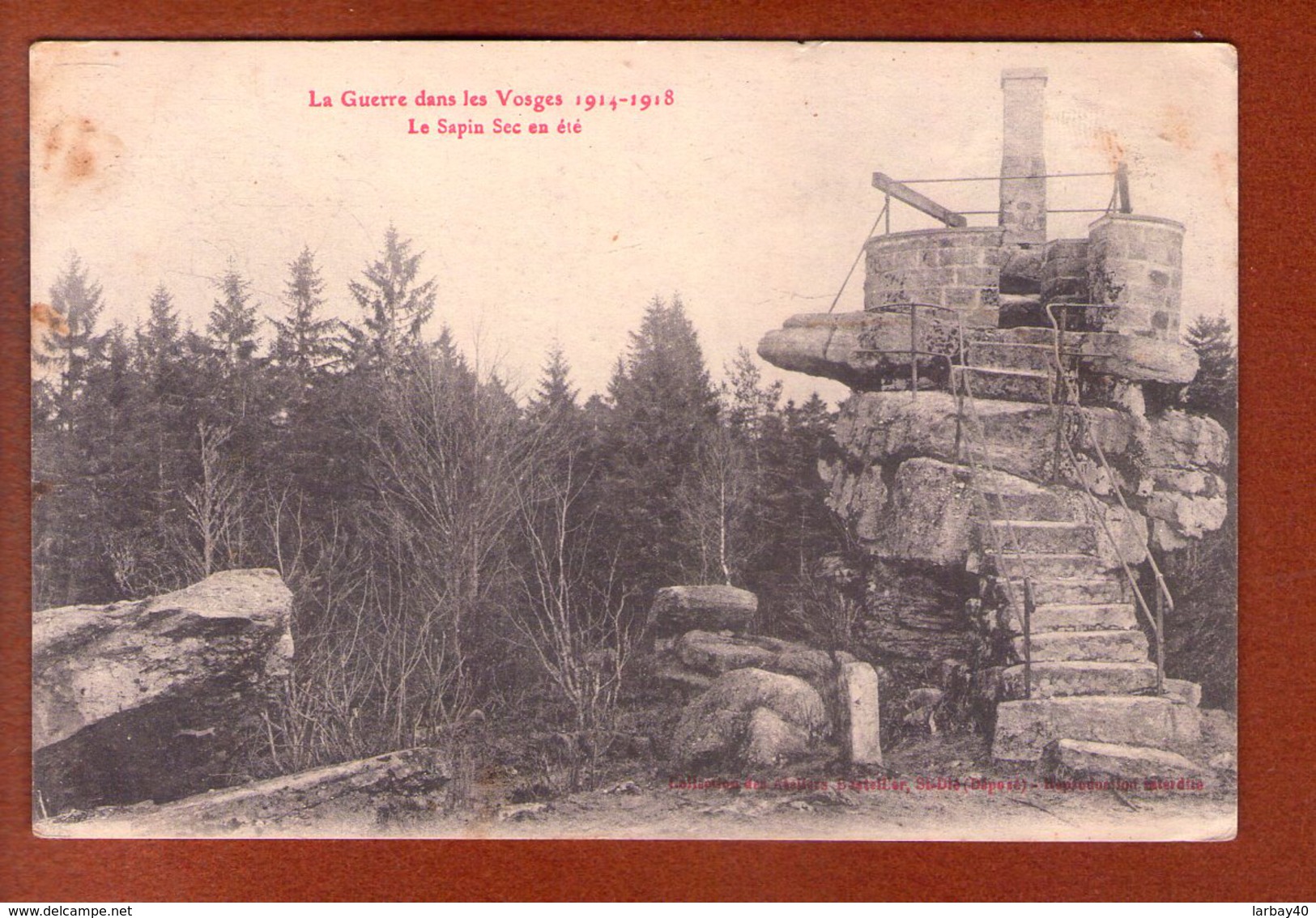 1 Cpa 88 La Guerre Dans Les Vosges 1914 - 1915 " Le Sapin Sec En Ete " - Guerre 1914-18