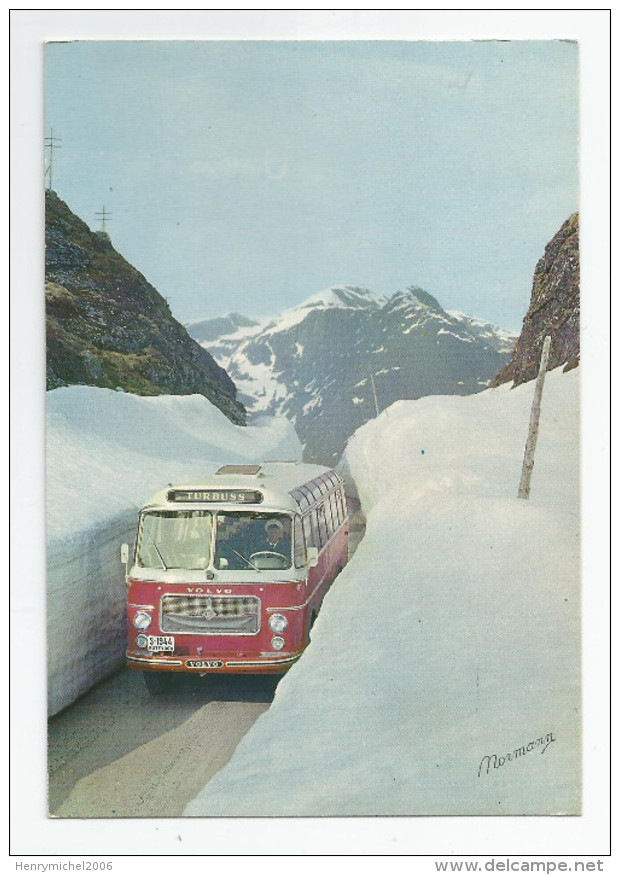 Bus Autocar Norge Norvège Norway Gaularfjell Montain In June Photo Normann - Autobús & Autocar