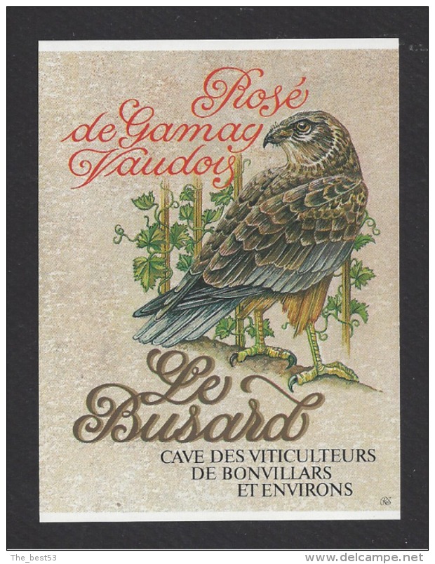 Etiquette De Vin Rosé De Gamay Vaudois  -  Le Busard - Cave Des Viticulteurs De Bonvillars (Suisse) - Oiseau Rapace - Autres & Non Classés
