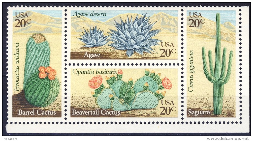 #USA 1981. Cactus. Bloc Of 4. Michel 1517-20. MNH(**) - Neufs