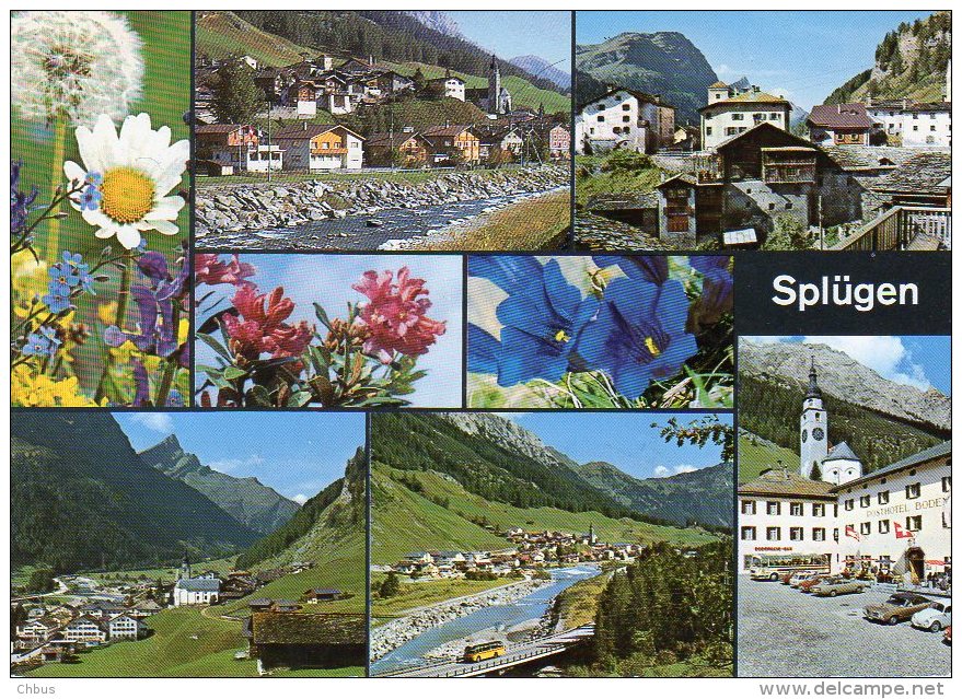 Postauto, Autobus, Bus; Splügen; Alpenblumen - Splügen