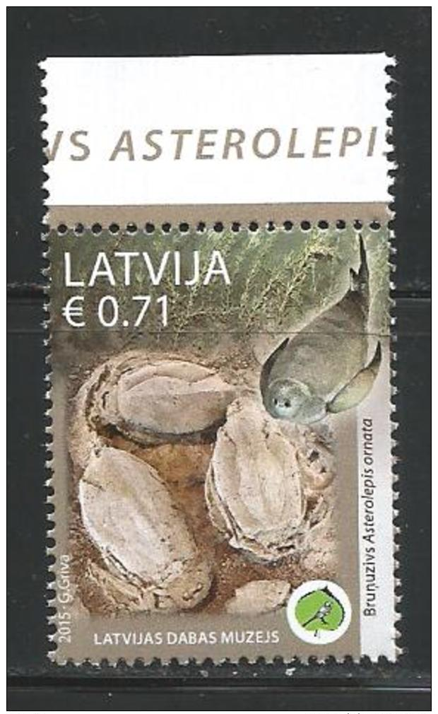 LATVIA  2015 - HISTORICAL MUSEUM - PLACODERMI - MNH - No % On Payment - Poissons