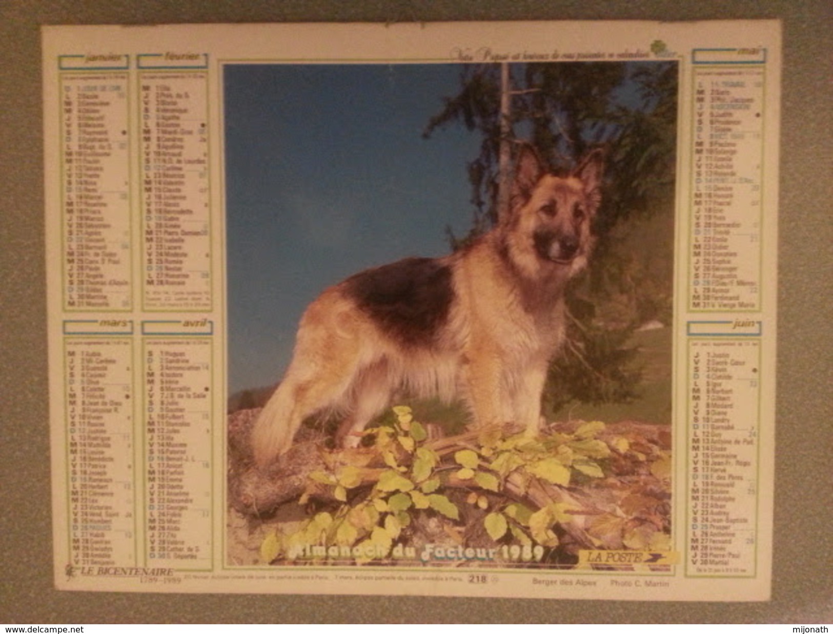 Vp-France-Calendrier 1989 Almanach Du Facteur - Berger Des Alpes - Jument Et Poulain - Grand Format : ...-1900