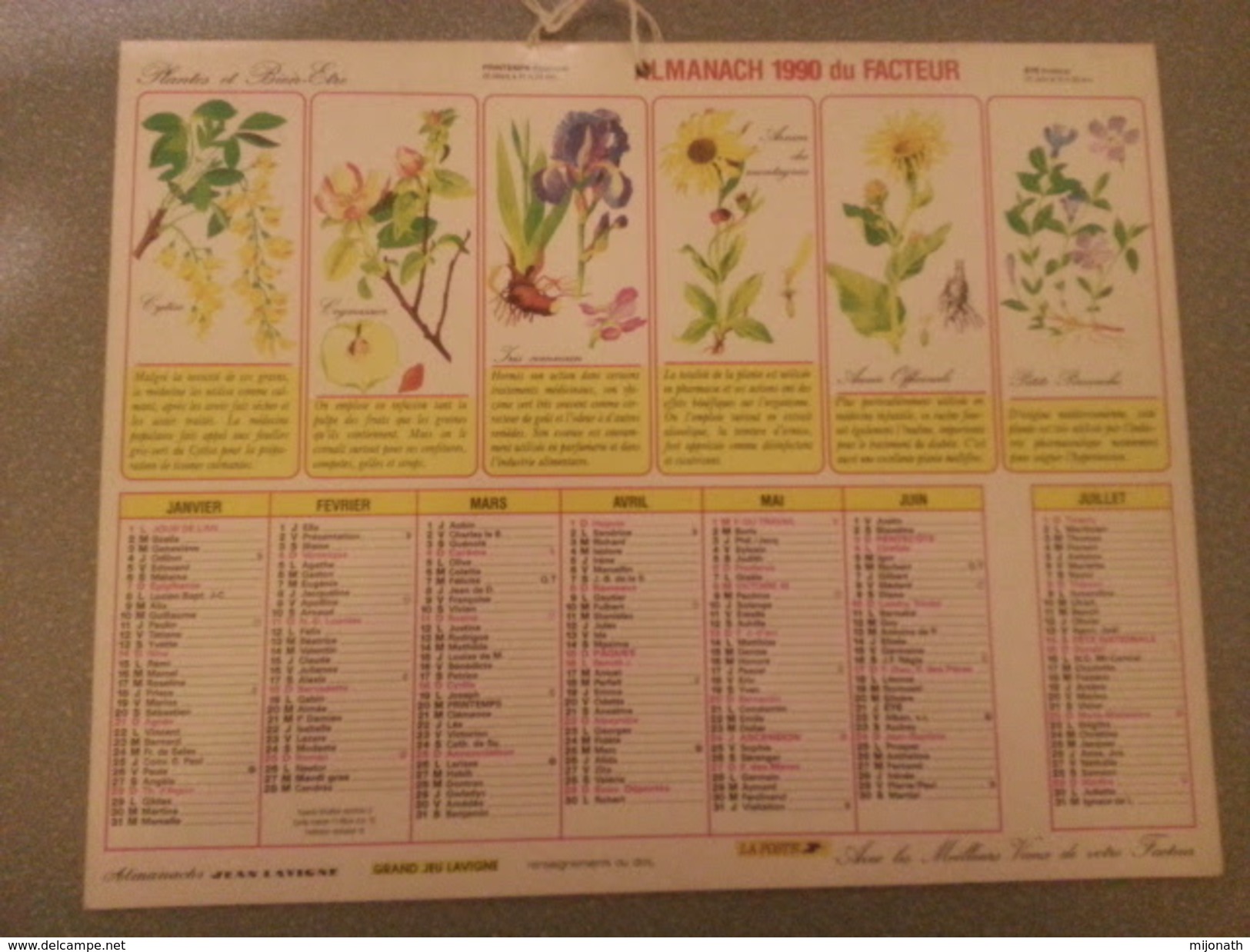 Vp-France-Calendrier 1990 Almanach Du Facteur - Plantes Et Bien-Être - Groot Formaat: ...-1900