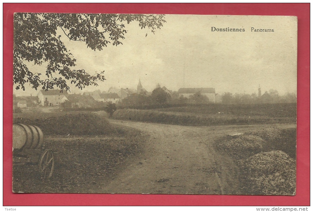 Donstiennes - Panorama ... Du Village - 1933 ( Voir Verso ) - Thuin