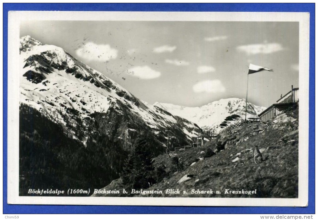 Böckfeldalpe  - Böckstein B. Badgastein - Blick Z. Scharek U. Kreuzkogel - Böckstein