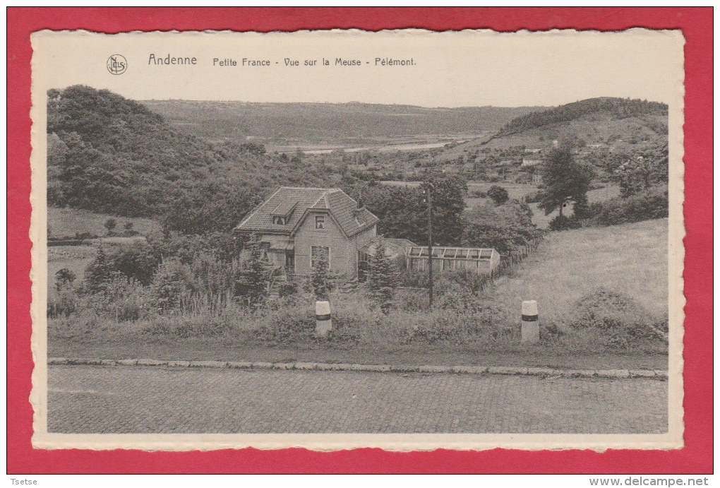 Andenne - Petite France - Vue Sur La Meuse - Pélémont -1957 ( Voir Verso ) - Andenne