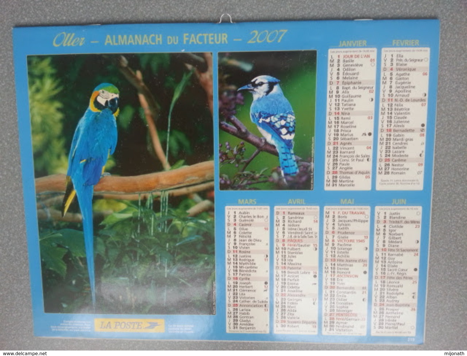 Vp-France-Calendrier 2007 Almanach Du Facteur - Oiseaux Exotiques - Tamaño Grande : ...-1900