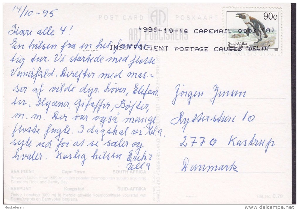 South Africa PPC Sea Point Cape Town CAPEMAIL 1995 To KASTRUP Amager Denmark Penguin Manchot Stamp (2 Scans) - Südafrika