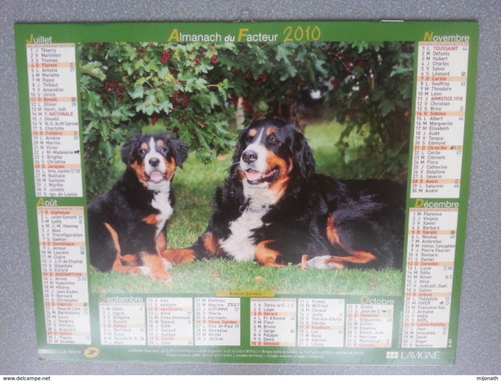 Vp-France-Calendrier 2010 Almanach Du Facteur - Golden Retriever - Bouvier Bernois - Groot Formaat: ...-1900