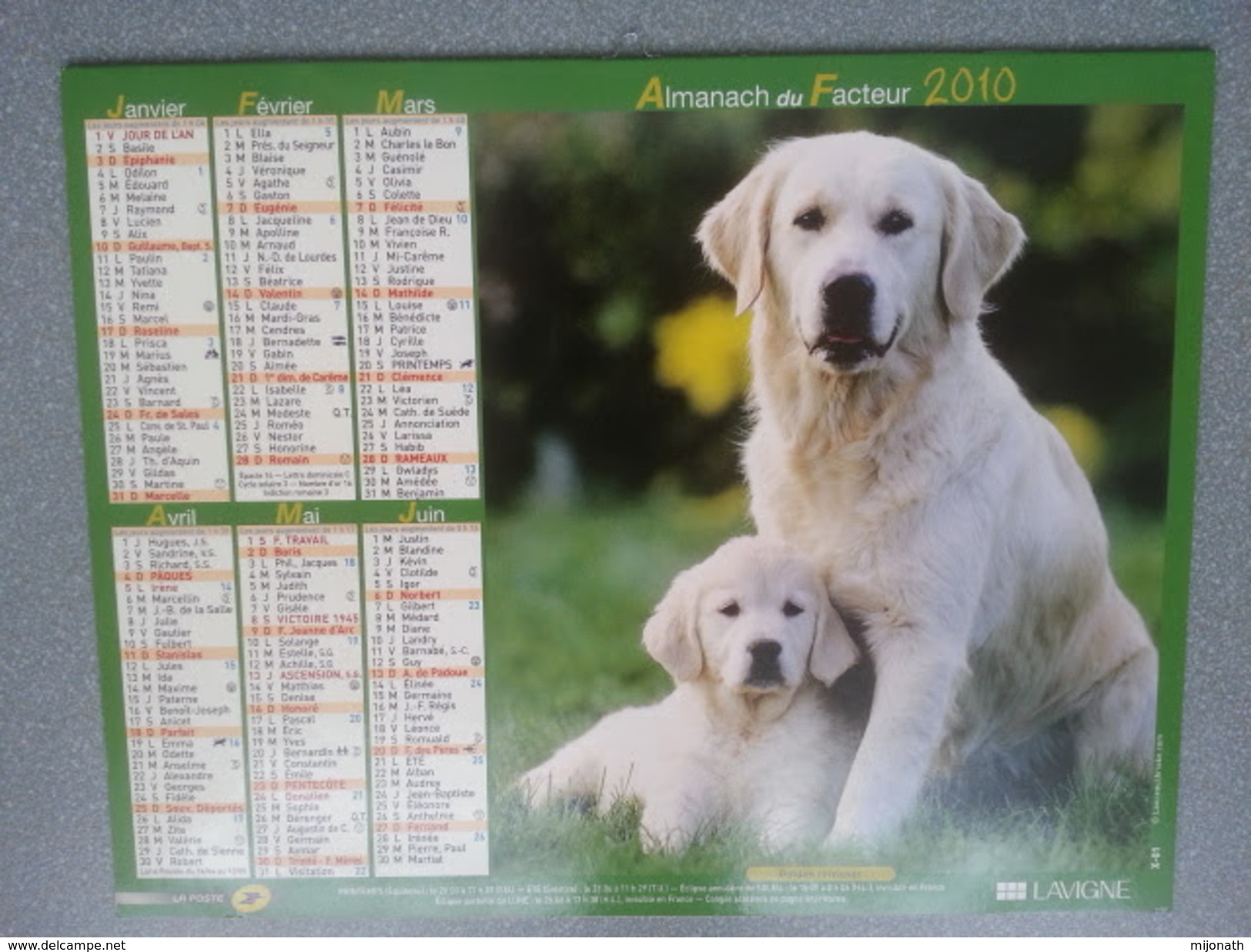 Vp-France-Calendrier 2010 Almanach Du Facteur - Golden Retriever - Bouvier Bernois - Grand Format : ...-1900