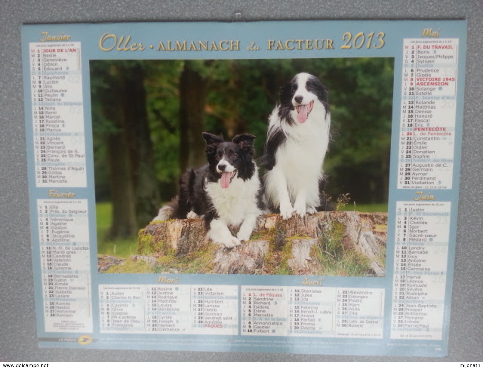 Vp-France-Calendrier 2013 Almanach Du Facteur - Borders Collies - Golden Retriever - Grand Format : ...-1900