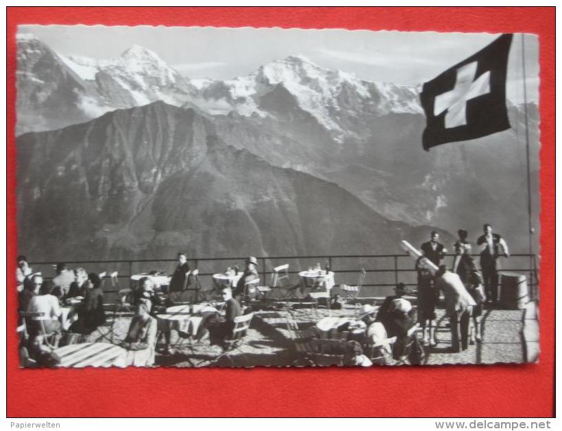 Gündlischwand (BE) - Terrasse Schynige Platte Mönch Jungfrau - Gündlischwand