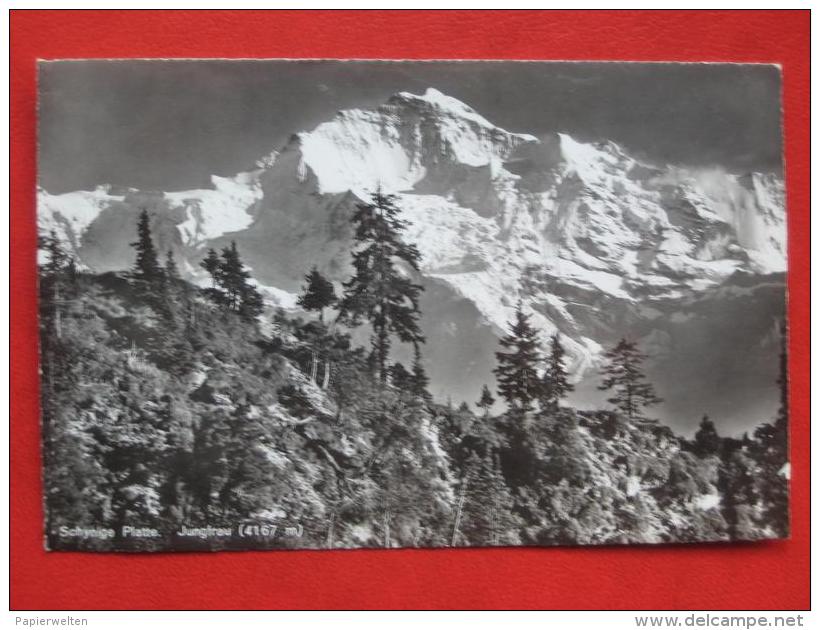 Gündlischwand (BE) - Schynige Platte Jungfrau - Gündlischwand