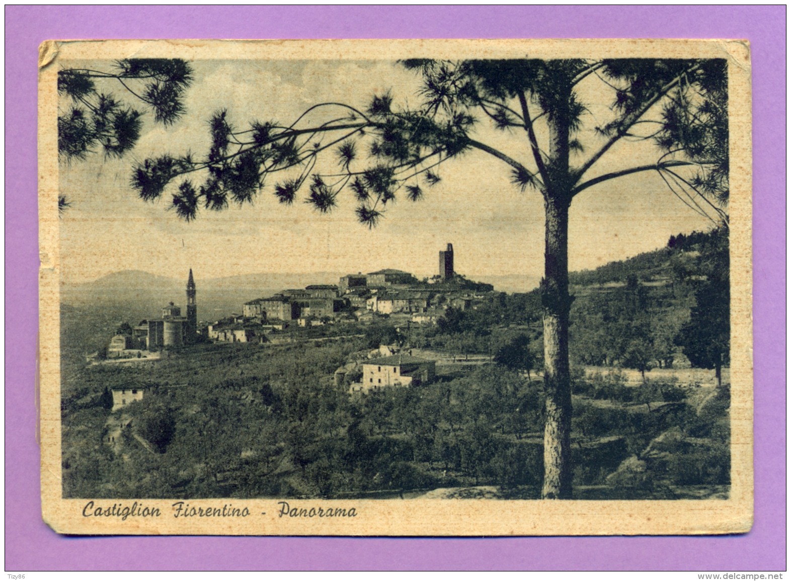 Castiglion Fiorentino - Panorama - Arezzo