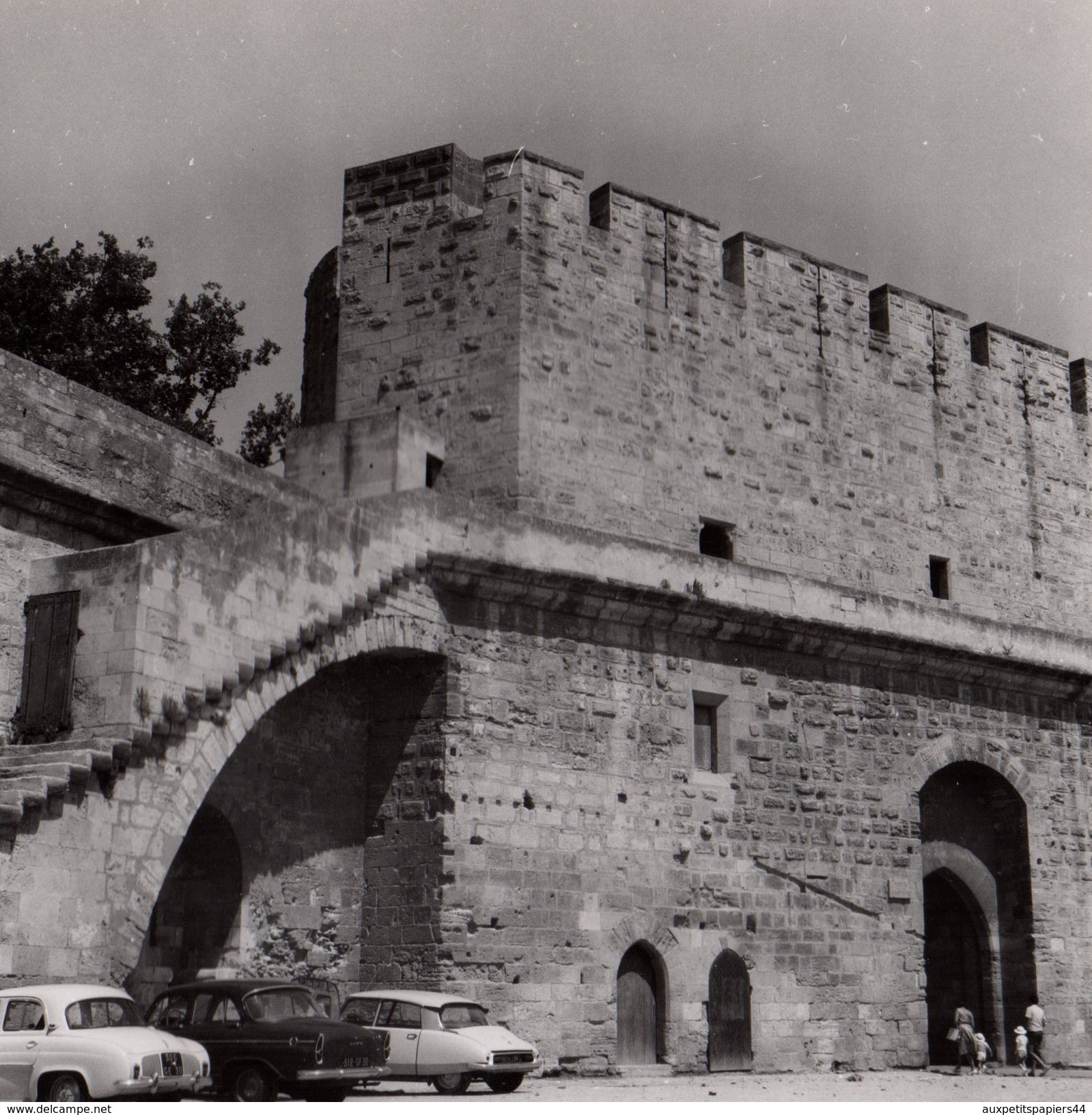 Grande Photo Originale - Gard - Aigues-Mortes - 30220 - Porte De La Gardette - Citroën DS, Simca Aronde Et Renault Dauph - Lieux