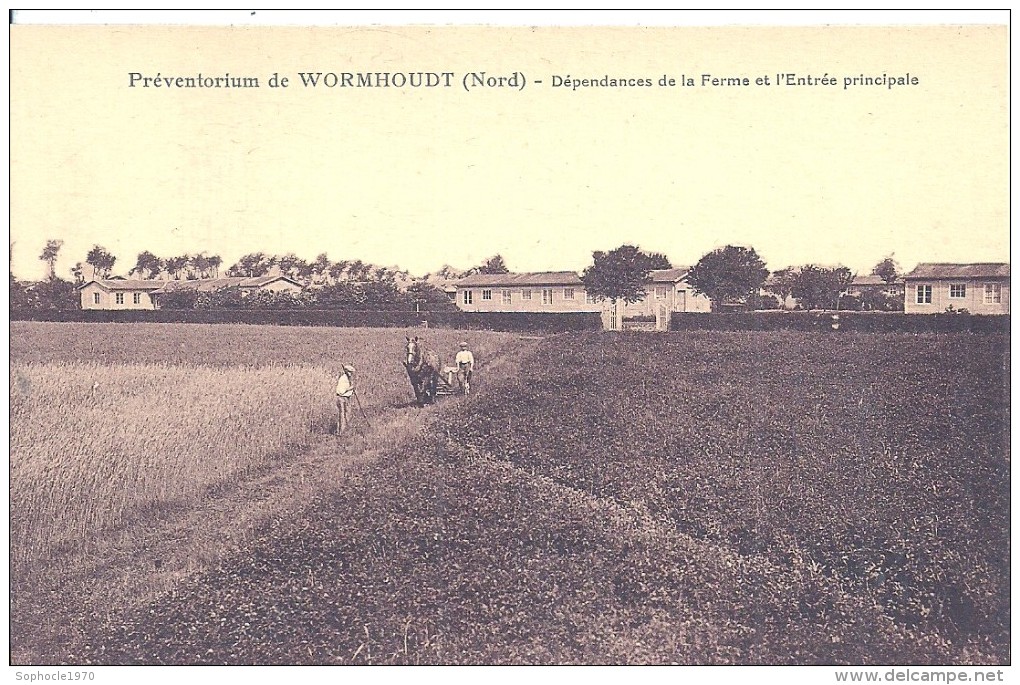 NORD - 59 - WORMHOUT - Dépendances De La Ferme Et Entrée - Wormhout