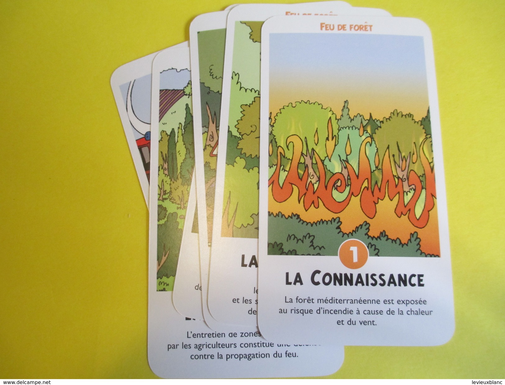 Jeux des risques naturels/"Cata.Stop"/Volcan-Foudre-Séisme-etc/Ministére de l'Ecologie et Dévelopt durable/2003     AJ13