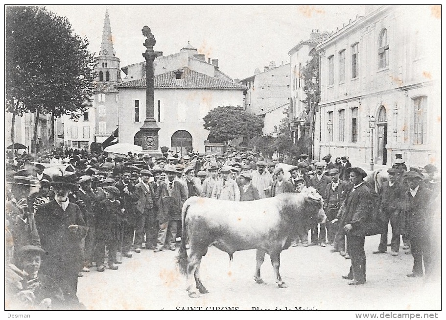 SAINT-GIRONS - Place De La Mairie (Taureau, Concours Agricole). - Saint Girons