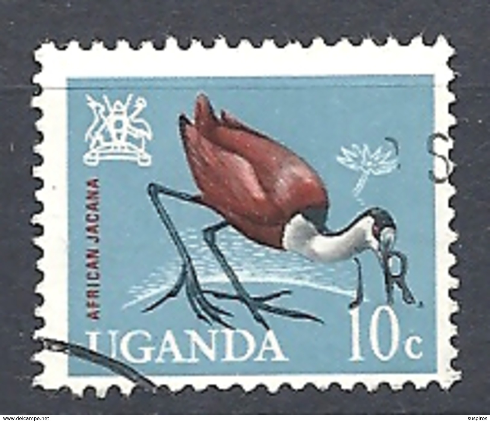 UGANDA      1965 Birds     USED  Actophilornis Africanus  The African Jacana - Uganda (1962-...)