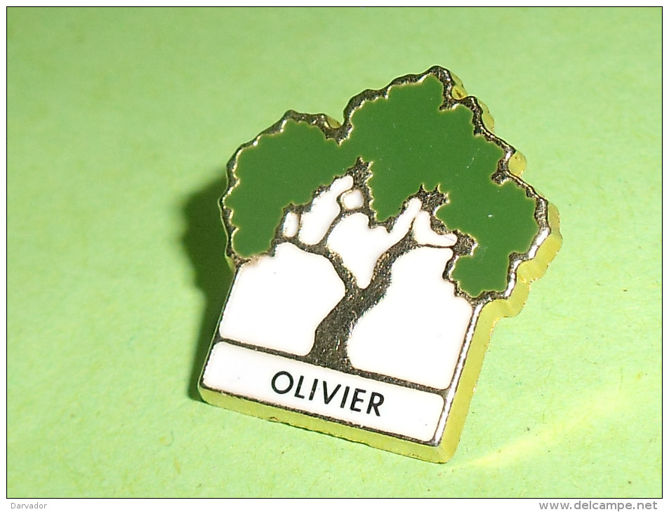 Pin's / Associations  : Arbre , Olivier , Verso Fondation Forêt   TB2i - Vereinswesen