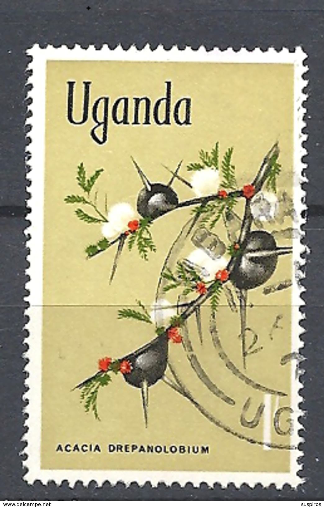 UGANDA      1969 Flowers    USED  Vachellia Drepanolobium (syn. Acacia Drepanolobium), Commonly Known As Whistling Thorn - Uganda (1962-...)