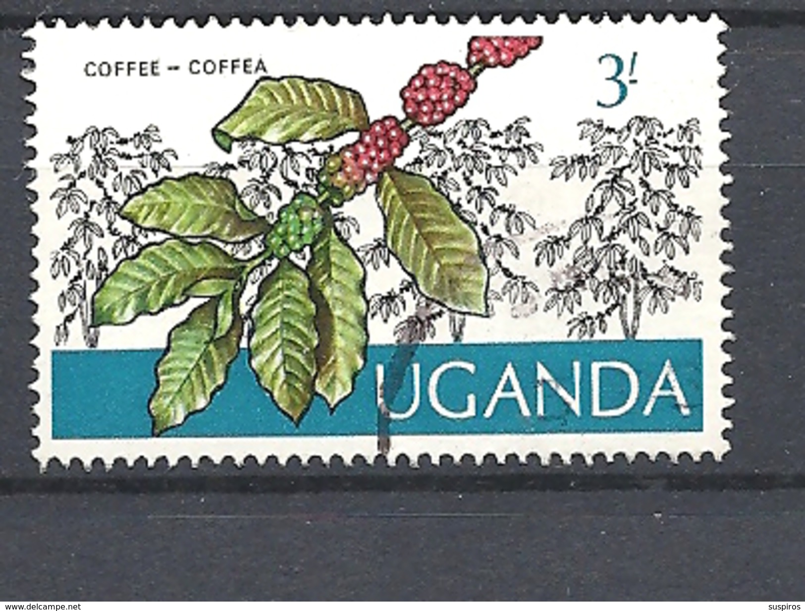 UGANDA      1975 Ugandan Crops USED Coffea Arabica - Uganda (1962-...)