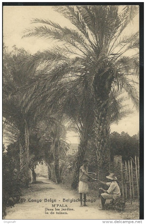 Carte N° 61. Vue 89. M'PALA: Dans Les Jardins. Obl.: 03/01/1924 Pour Bxl-Maritime - Entiers Postaux