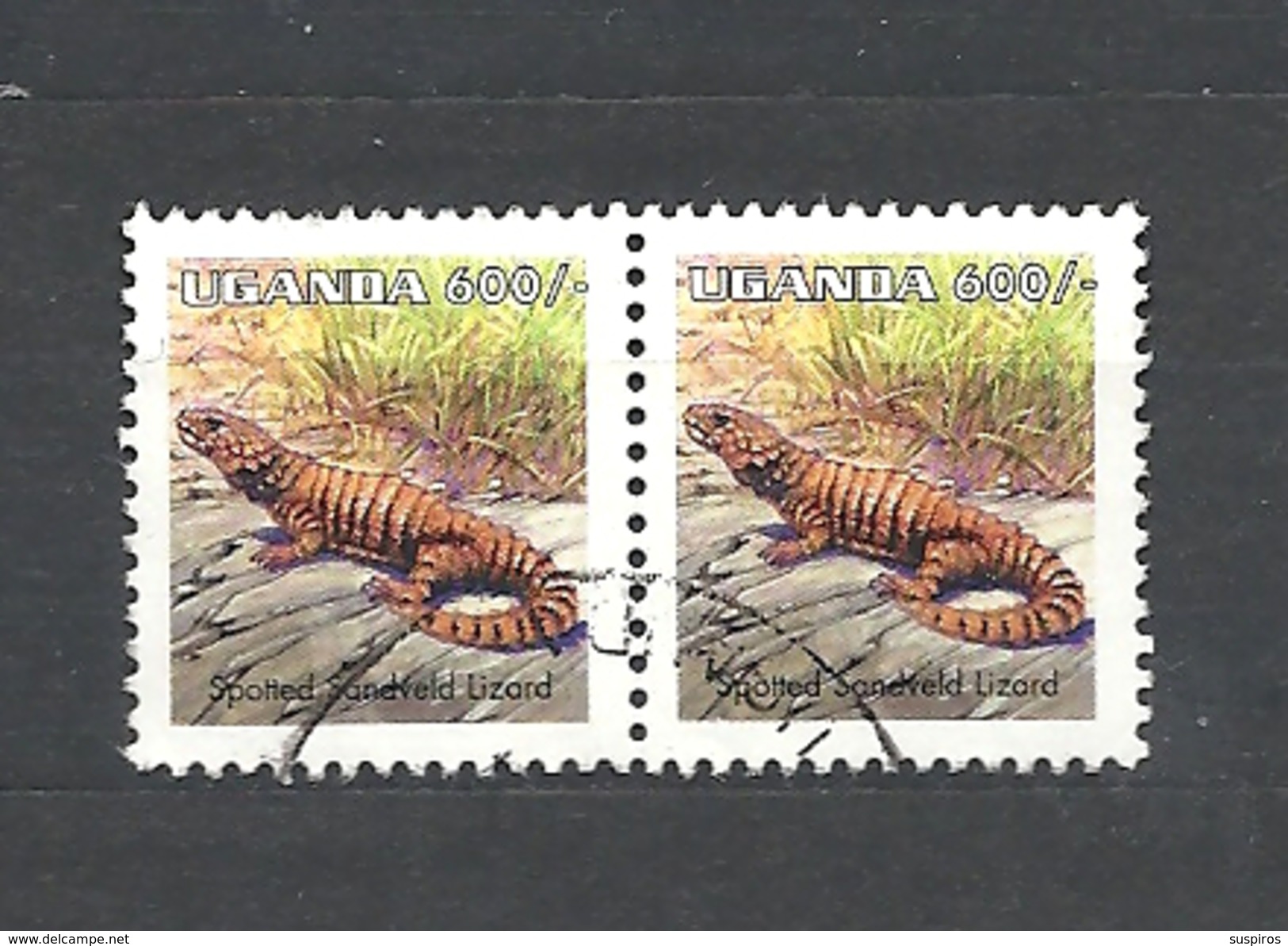 UGANDA    1998 Reptiles USED  Cordylus Sp.spotted Sandveld Lizard - Uganda (1962-...)