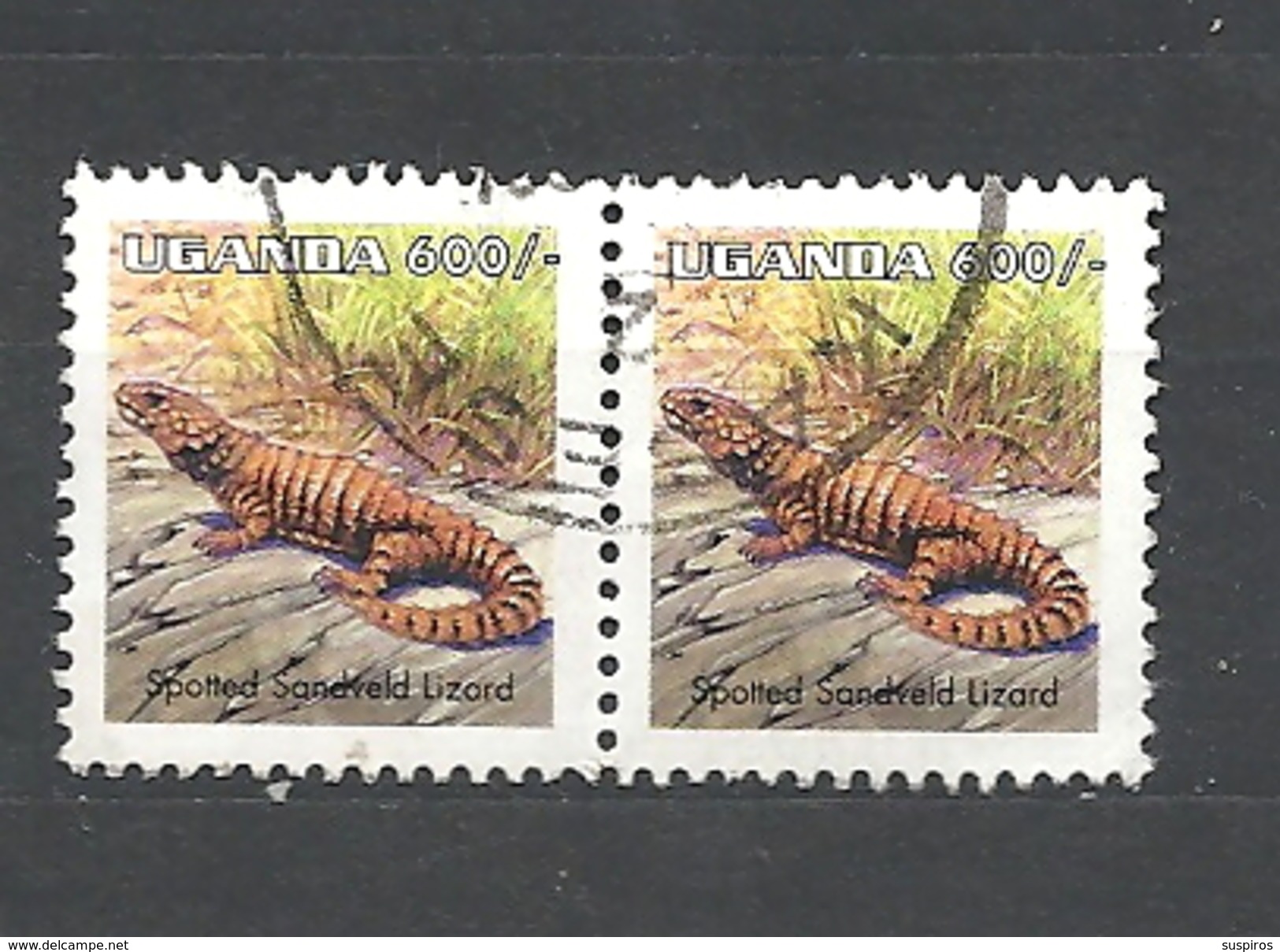 UGANDA    1998 Reptiles USED  Cordylus Sp.spotted Sandveld Lizard - Uganda (1962-...)