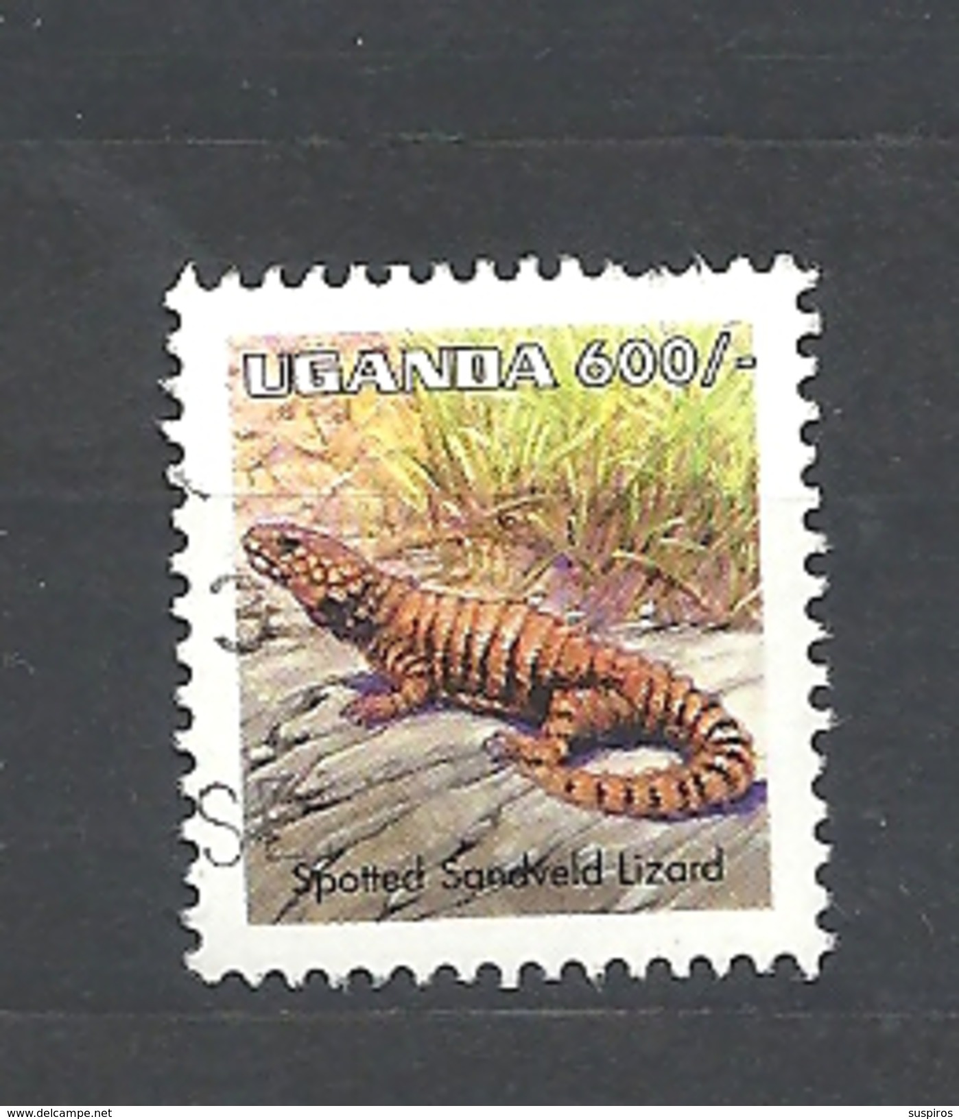 UGANDA    1998 Reptiles USED  Cordylus Sp.spotted Sandveld Lizard - Uganda (1962-...)