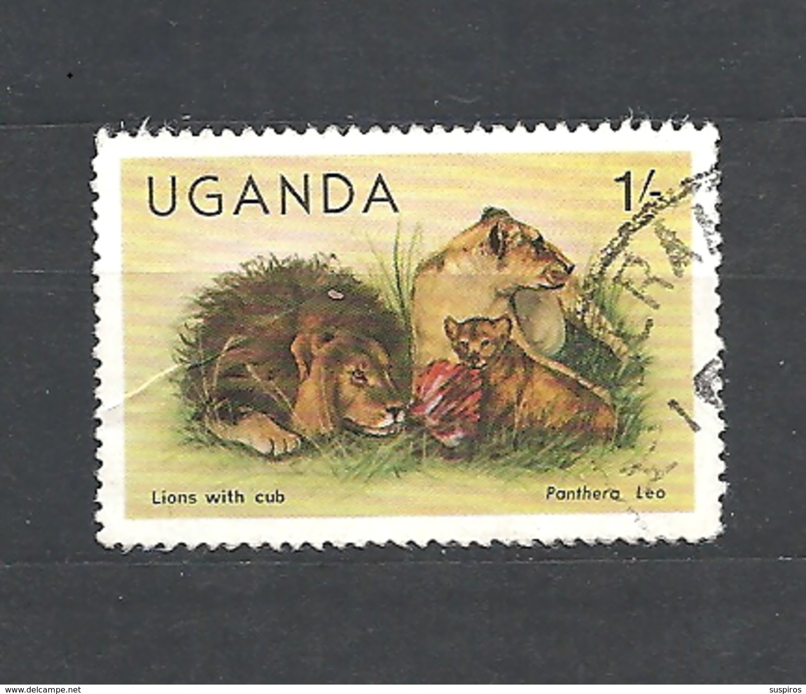 UGANDA    1979 Wildlife - Panthera Leo  USED - Uganda (1962-...)