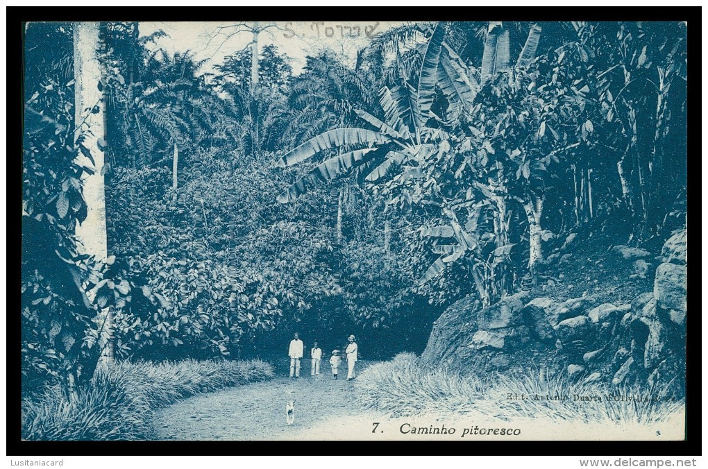 SÃO TOMÉ E PRÍNCIPE - Caminho Pitoresco ( Ed. António Duarte D'Oliveira & C.ª Nº 7)carte Postale - Sao Tome And Principe