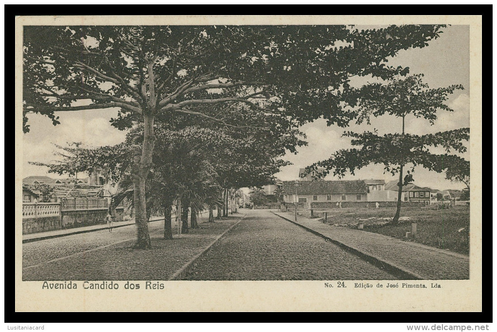 SÃO TOMÉ E PRÍNCIPE - Avenida De Candido Dos Reis ( Ed. José Pimenta Lda. Nº 24)carte Postale - São Tomé Und Príncipe