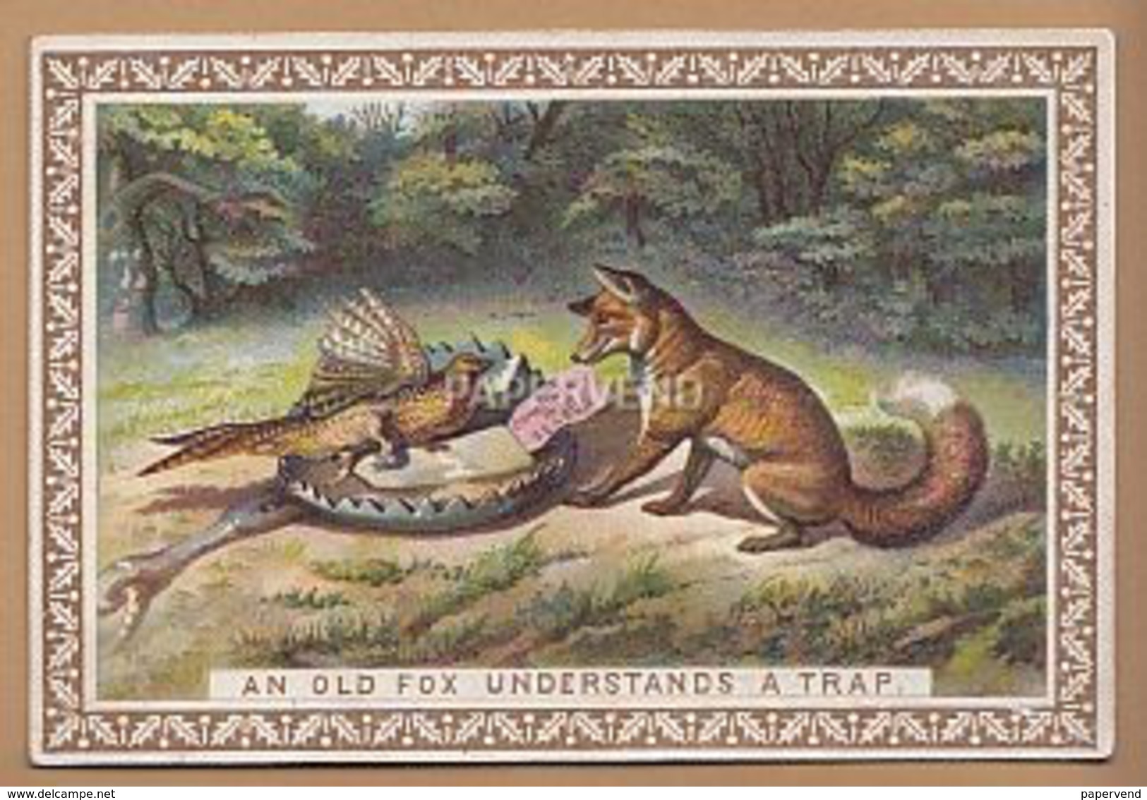 Victorian  Card De La Rue Proverbs An Old Fox Understands A Trap  Egc39 - Unclassified