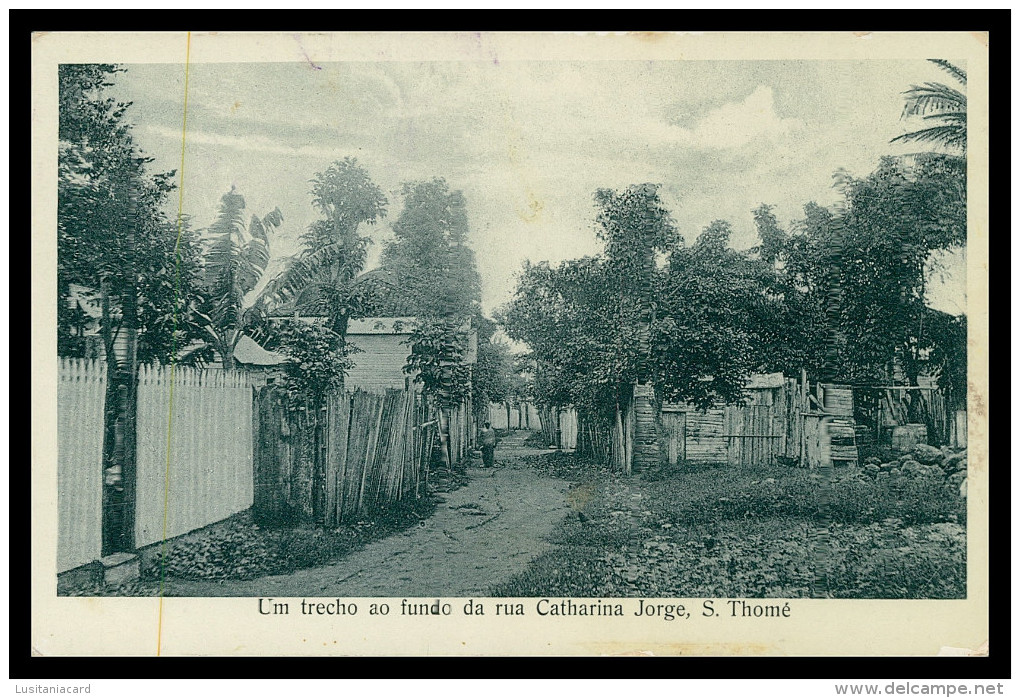 SÃO TOMÉ E PRÍNCIPE -Um Trecho Ao Fundo Da Rua Catharina Jorge (Ed. José Teixeira Barboza, Bazar Africana)carte Postale - Sao Tome Et Principe