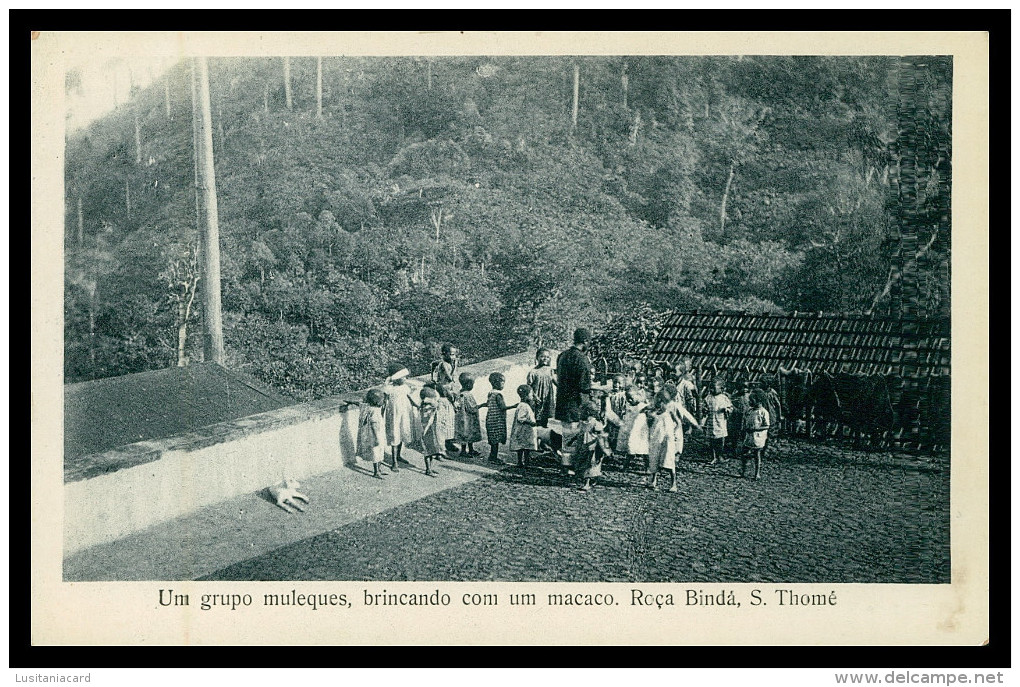 SÃO TOMÉ E PRÍNCIPE - Um Grupo De Moleques Brincando Com Um Macaco ( Ed. José Teixeira Barboza) Carte Postale - Sao Tome Et Principe