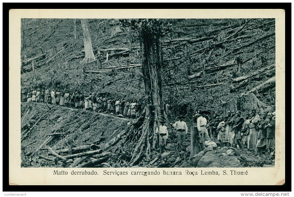 SÃO TOMÉ E PRÍNCIPE - Matto Derrubado. Seviçaes Carregando Banana Roça Lemba ( Ed. José Teixeira Barboza) Carte Postale - Sao Tome Et Principe