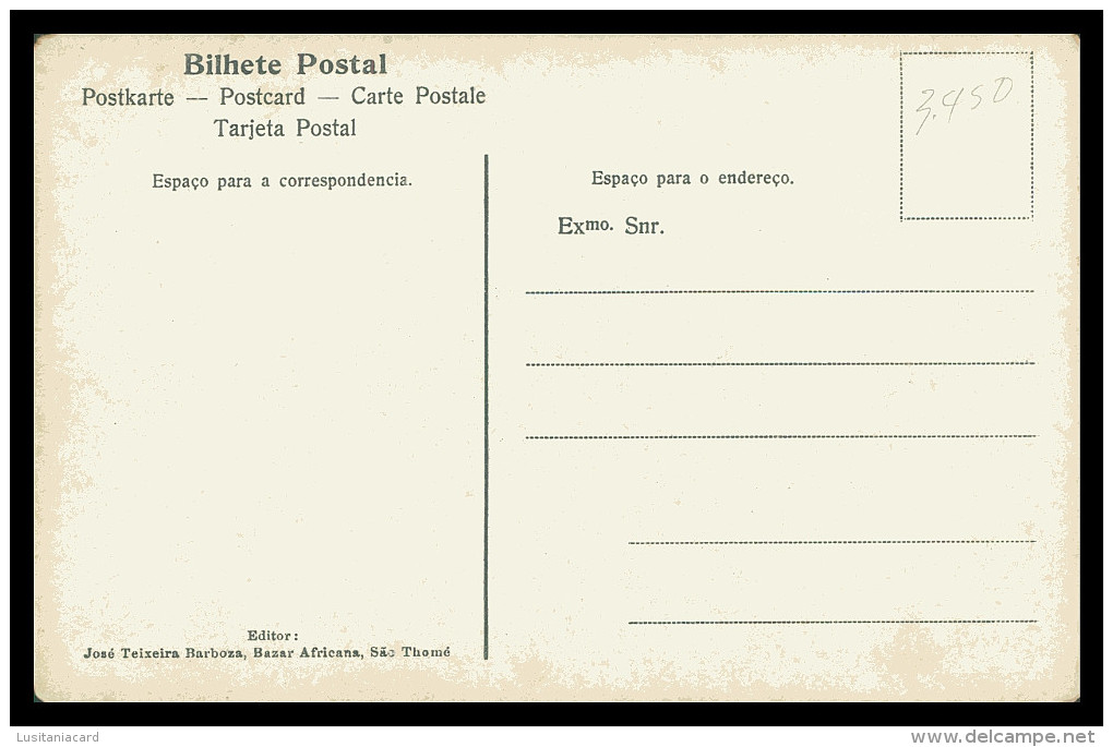 SÃO TOMÉ E PRÍNCIPE - Matto Derrubado. Seviçaes Carregando Banana Roça Lemba ( Ed. José Teixeira Barboza) Carte Postale - São Tomé Und Príncipe