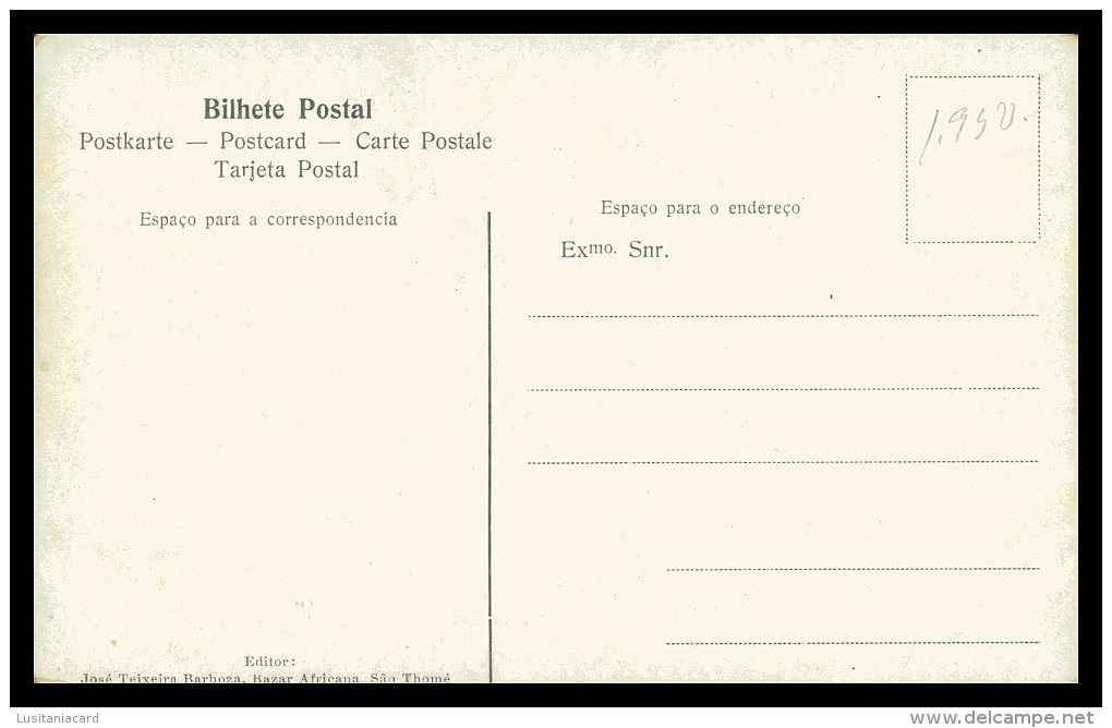 SÃO TOMÉ E PRÍNCIPE- Um Monte De Capsulas De Cacau Na Roça Campo Livre (Ed. José Teixeira Barboza) Carte Postale - Sao Tome And Principe