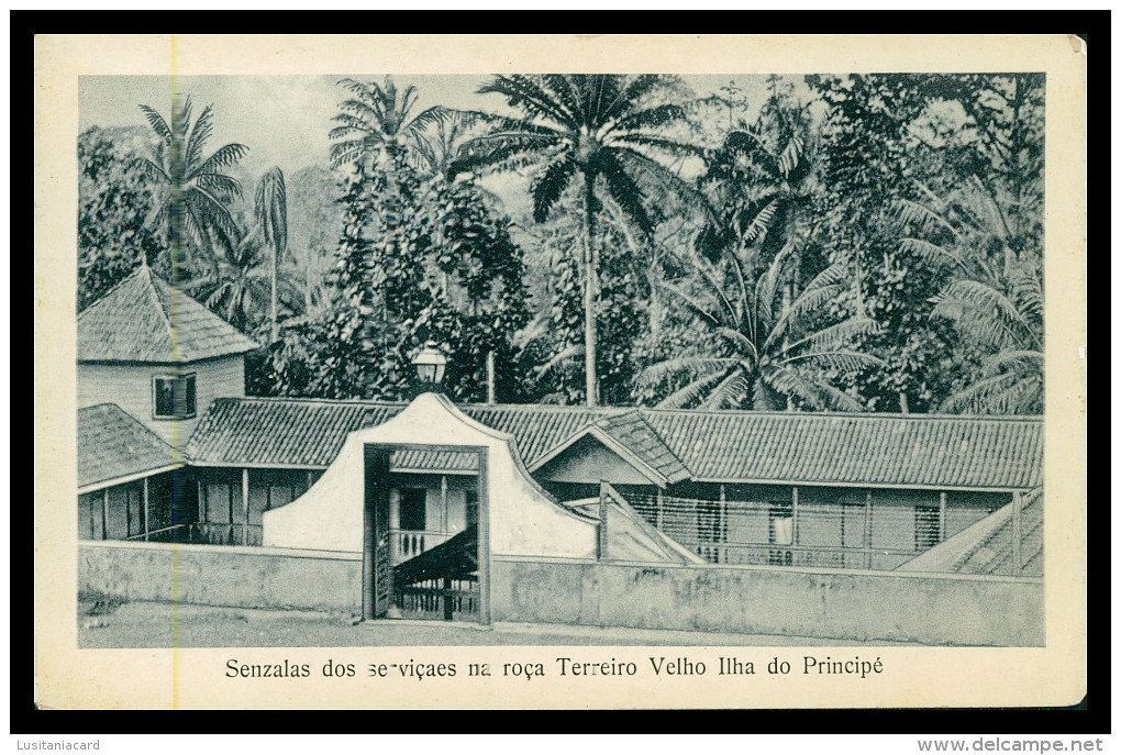 SÃO TOMÉ E PRÍNCIPE - Senzala Dos Serviçaes Na Roça Terreiro Velho(Ed. José Teixeira Barboza) Carte Postale - São Tomé Und Príncipe