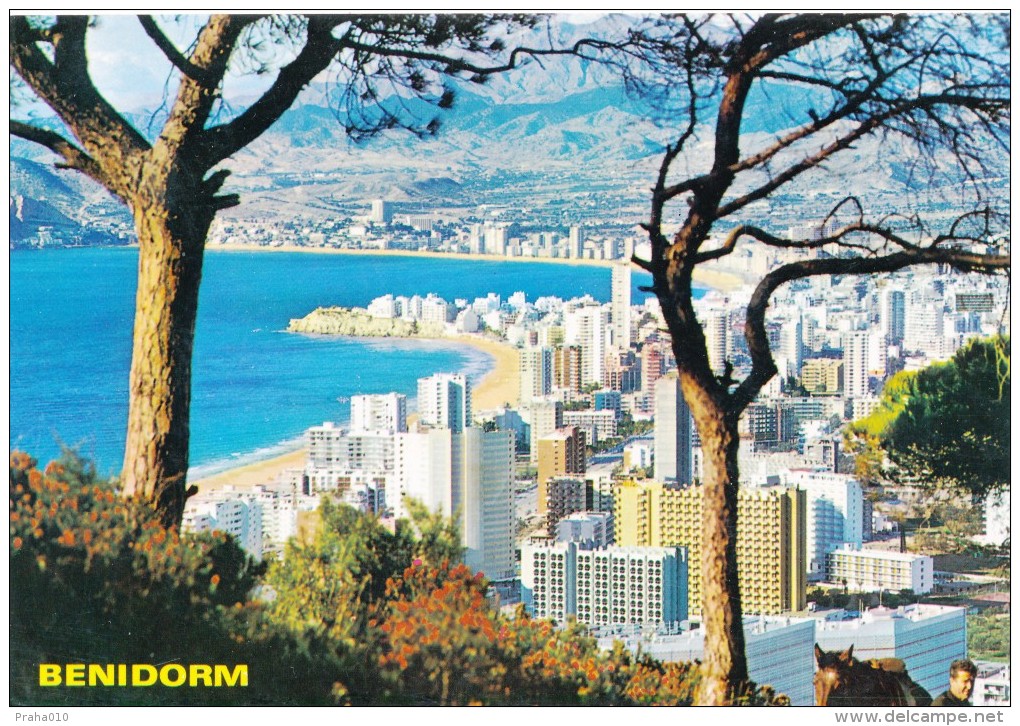 L0965 - Spain (1991) Benidorm: Please Enclose The Postal Code (postcard: Benidorm); Tariff: 0,45 - Código Postal