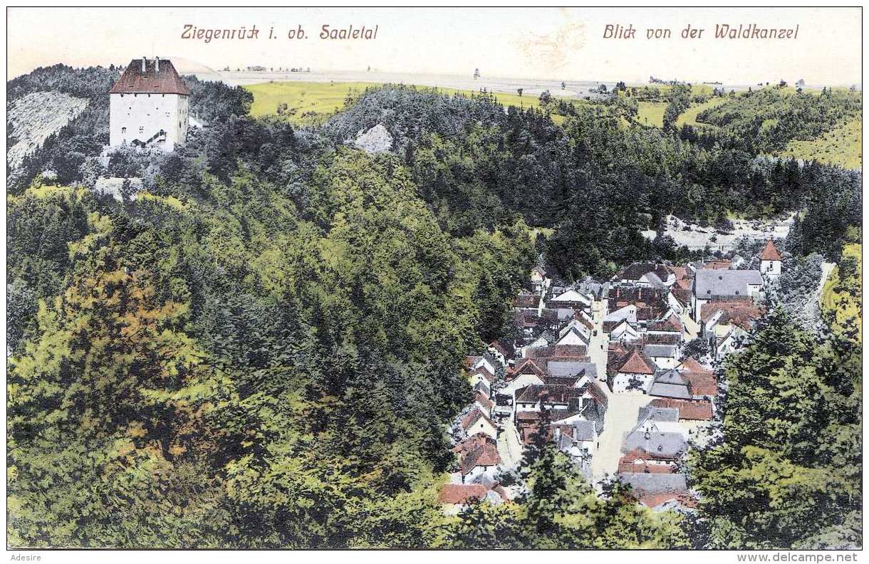 ZIEGENRÜCK I.ob. Saaletal, Blick Von Der Waldkanzel, Gel.1913 - Ziegenrück